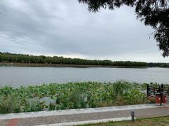 -素心小筑(后沙裕镇店)