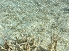 -白水台