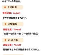 -菠萝国际教育专注Alevel·IGCSE·IB·AP·托福雅思培训辅导(静安校区)