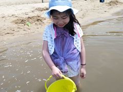 -北海金海湾红树林生态旅游区