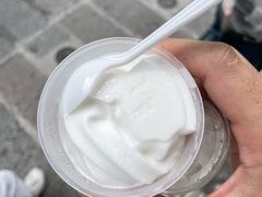 -洪馨椰子