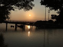 -大湾区中央湿地公园