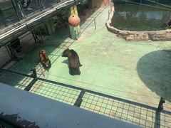 -深圳野生动物园