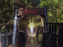 -亚龙湾热带天堂森林公园