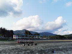 -台山黑沙湾海浴场