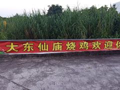 -大岗仙庙烧鸡(花东店)