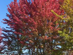 -北京宽沟会议中心