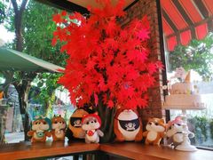 -柴犬高等学院·狗咖·柴犬售卖·宠物训练