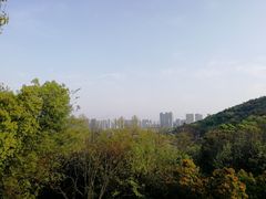 -西湖风景区-江洋畈生态公园