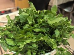 -丫丫汤膳打边炉(宏府408坊店)