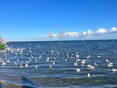 -青海湖二郎剑景区