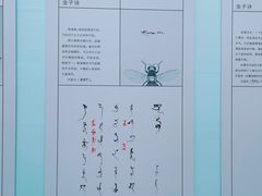 -青果巷历史文化街区