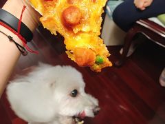 -达美乐比萨(武定店)