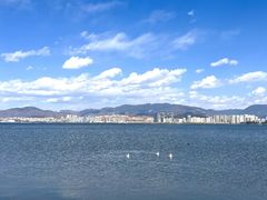 -洱海月湿地公园