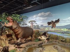 -陕西自然博物馆