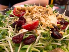 奶酪沙拉-机器人火炉披萨