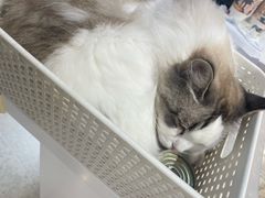 -万达广场(南京江宁店)