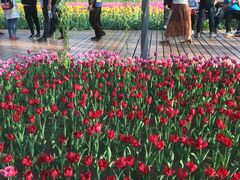 -长春公园(普阳街道)