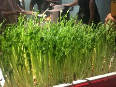 -番食园鲜食火锅(高新店)