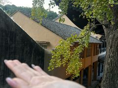 -大罗山风景区