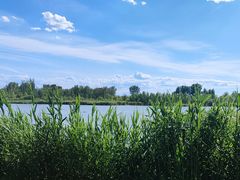 -野鸭湖国家湿地公园