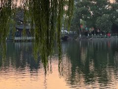 -月湖公园