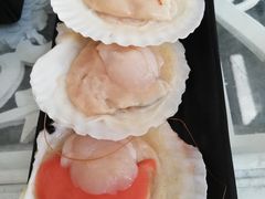 扇贝-丽江庭院之丽江往事(安定门店)