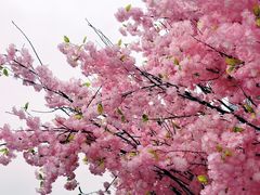 -首开·龙湖成都西宸天街