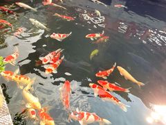 -香麒园·过桥米线·南湖雅宴