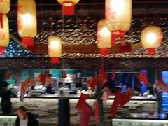 -粤凤佬
