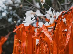-长春观