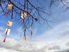 -硗碛藏寨·神木垒景区