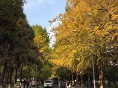 -四川大学(望江校区)