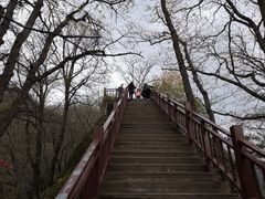 -陕西省红河谷森林公园