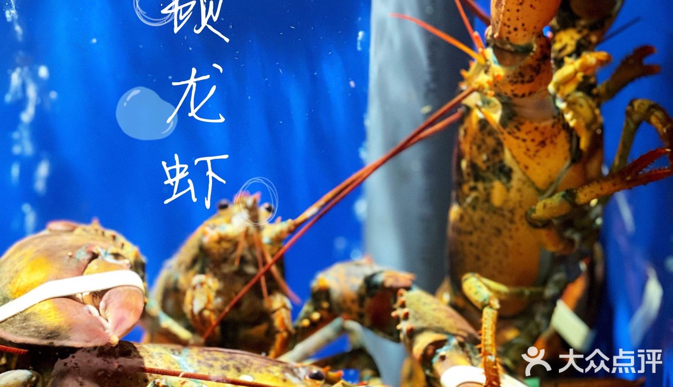 海鲜香不怕巷子深🦪🍤🐟🐚