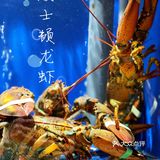 海鲜香不怕巷子深🦪🍤🐟🐚