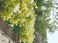 -黑龙江省森林植物园