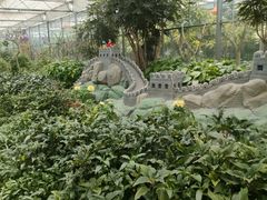 -南宫五洲植物乐园