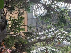 -呀诺达热带雨林