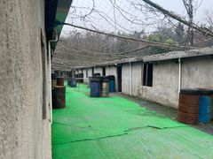 -东湖小天池真人CS彩弹野战基地