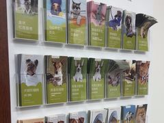-美联众合动物医院·24h转诊中心