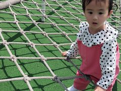 -枫香湖儿童公园