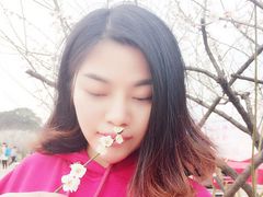 -香雪海