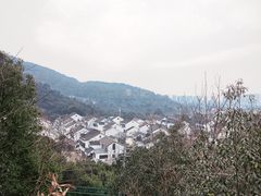 -树山生态村