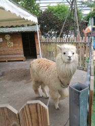 -萌宠亲子动物乐园(槐房万达店)