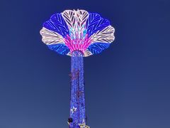 -富贵黄金屋
