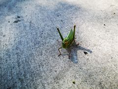 -鬼笑石后山停车场