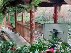 -杭州半山国家森林公园