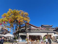 -眼镜粑粑