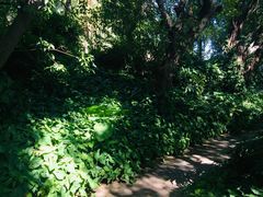 -佛山祈福仙湖酒店